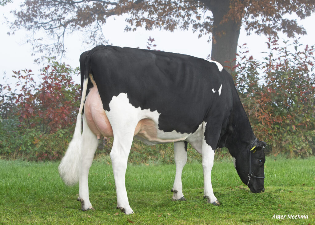 Geralda 36 (VG 87) (v. Friday)
Eig.: Mts. H.J.J. Bouwmeester-Stegink, Lochem