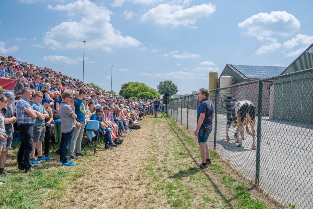 Succesvolle grasdag met een drukbezochte stierenpresentatie