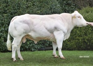 Moos van de Graashook