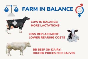 Farm in Balance
