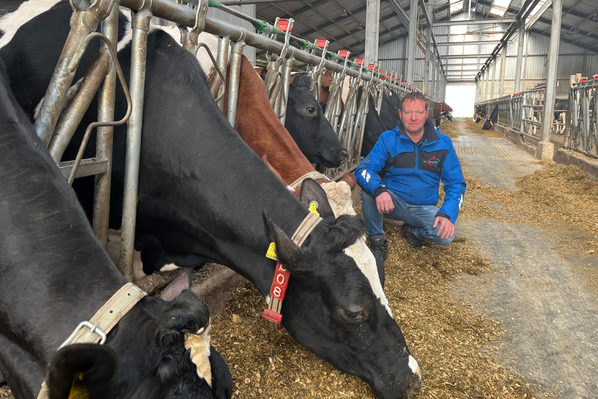 Balance as the foundation, practical proven breeding | K.I. Samen.